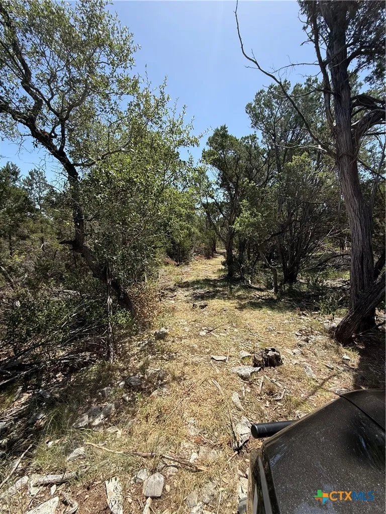 Happy Hollow New Braunfels, TX 78132