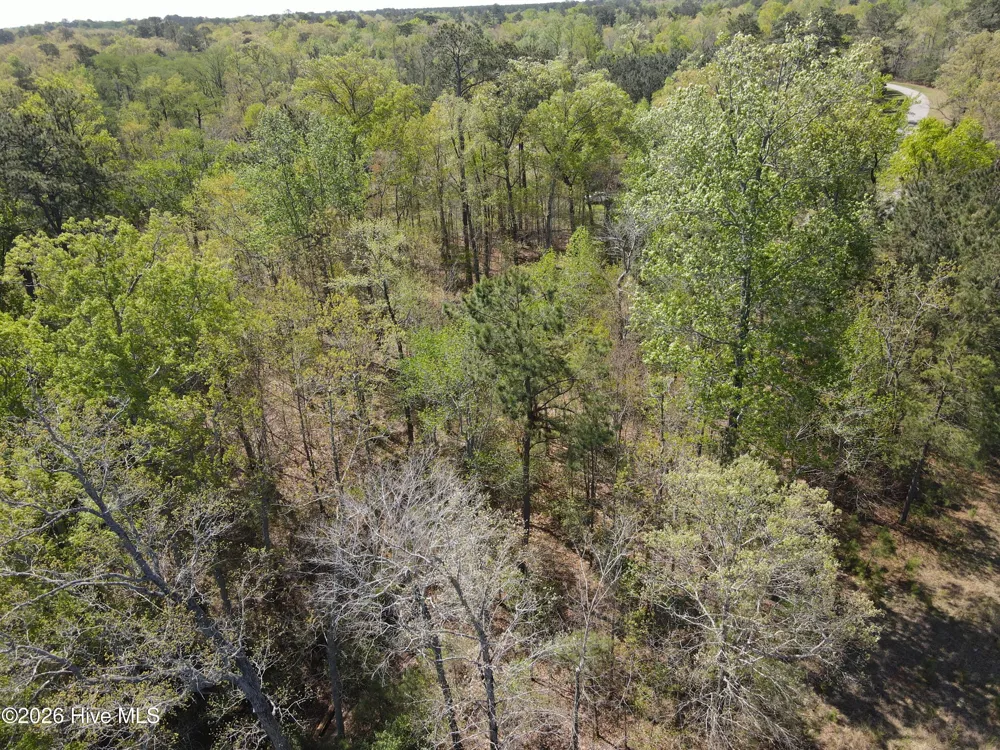 Lot 9 Riversedge Drive Winton, NC 27986