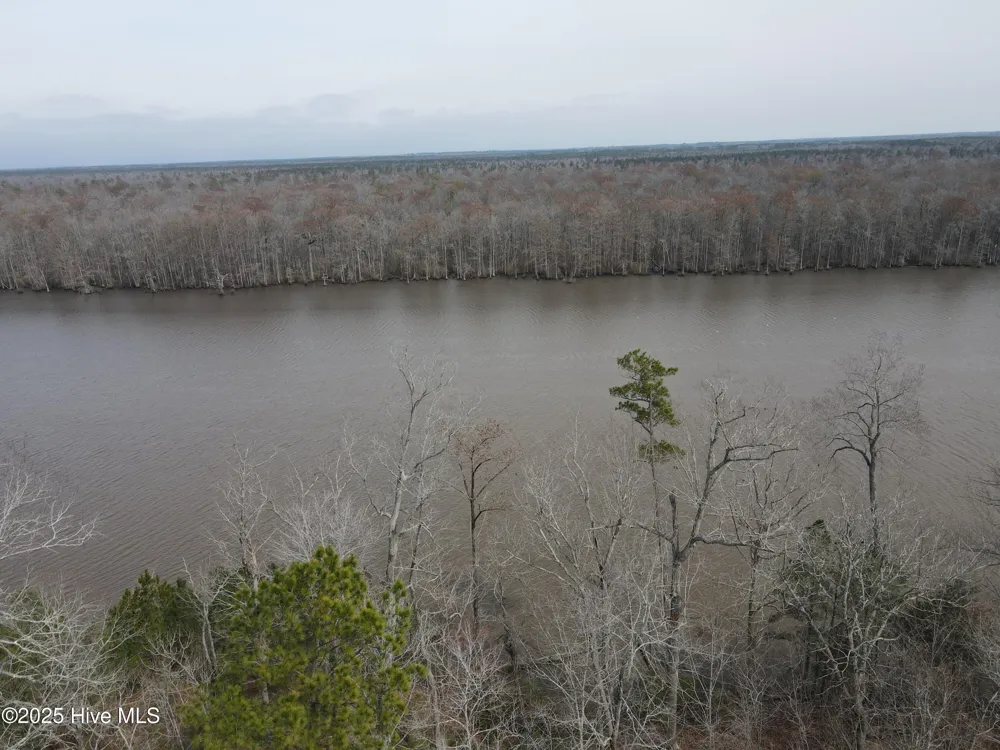 Lot 12 River Bluff Drive Winton, NC 27986