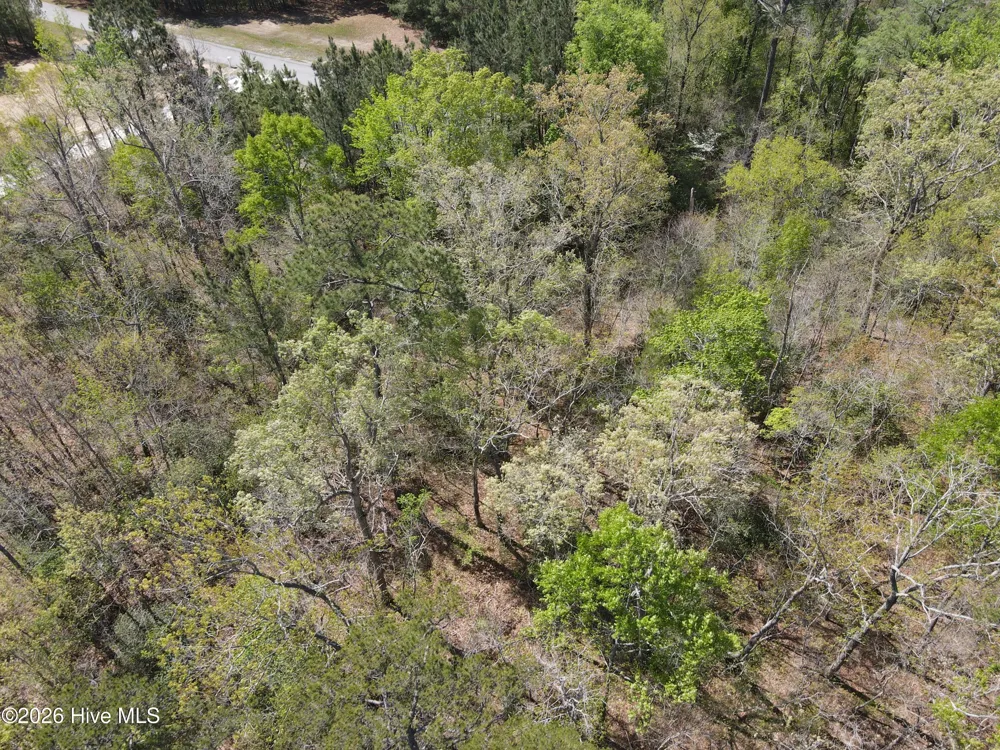 Lot 12 River Bluff Drive Winton, NC 27986