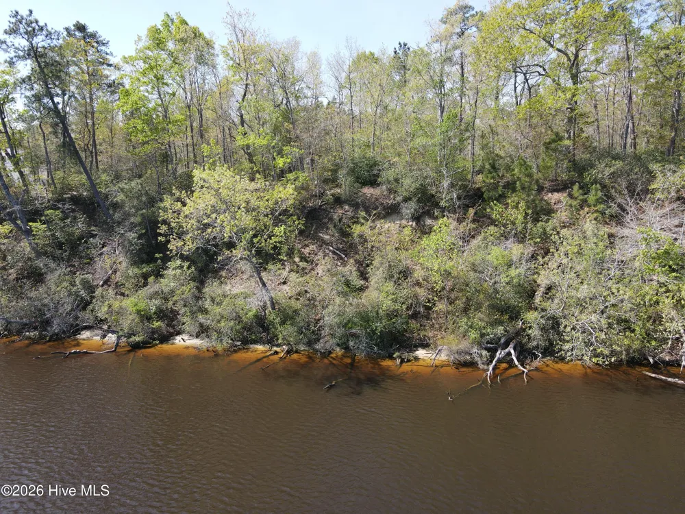 Lot 12 River Bluff Drive Winton, NC 27986