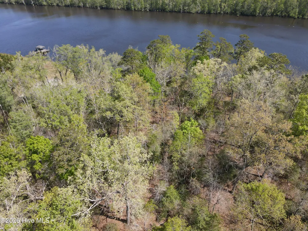 Lot 13 River Bluff Drive Winton, NC 27986