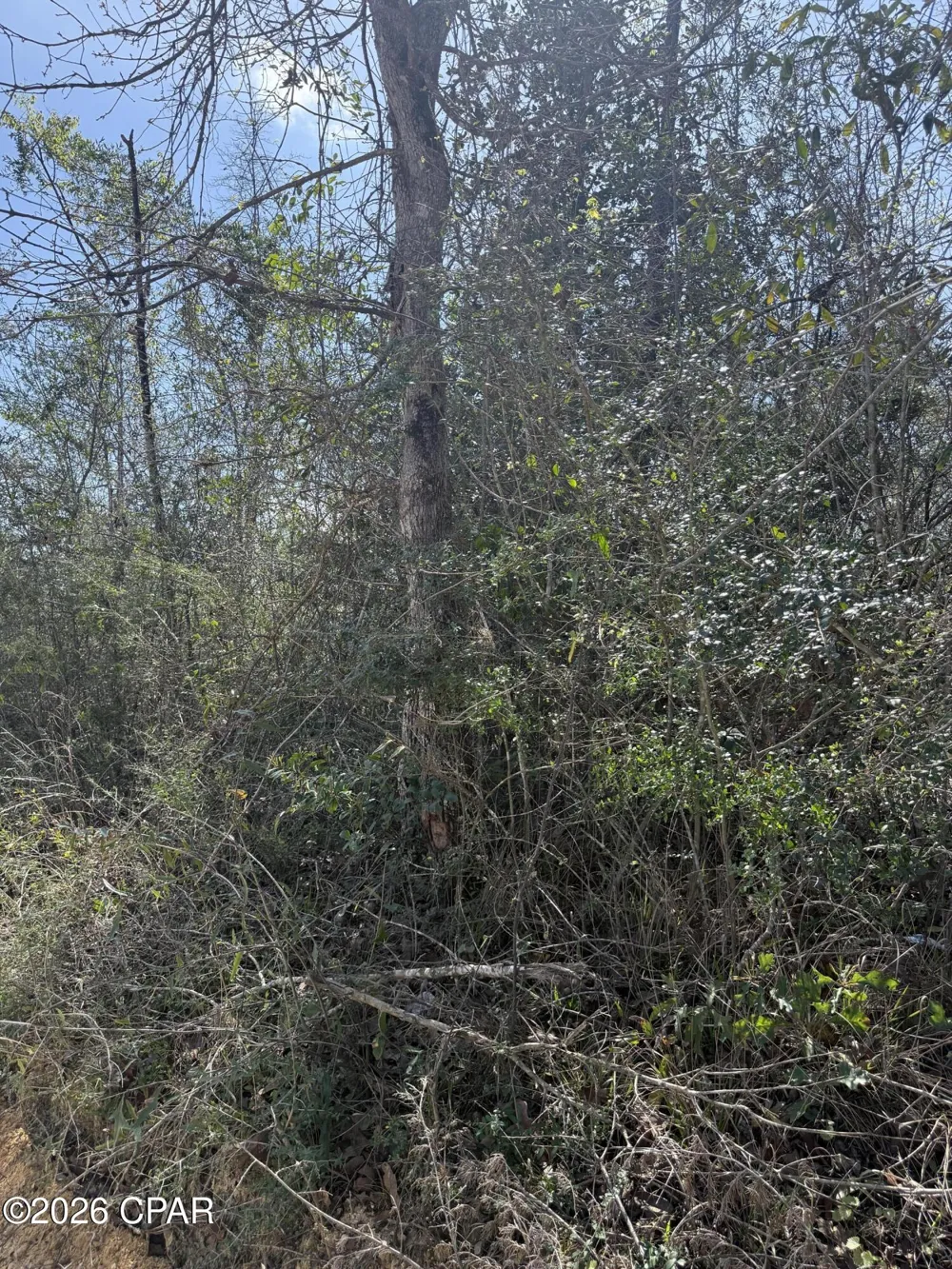 Mount Ararat Road Marianna, FL 32448