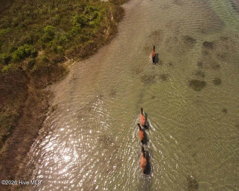 506 Island Road Harkers Island, NC 28531