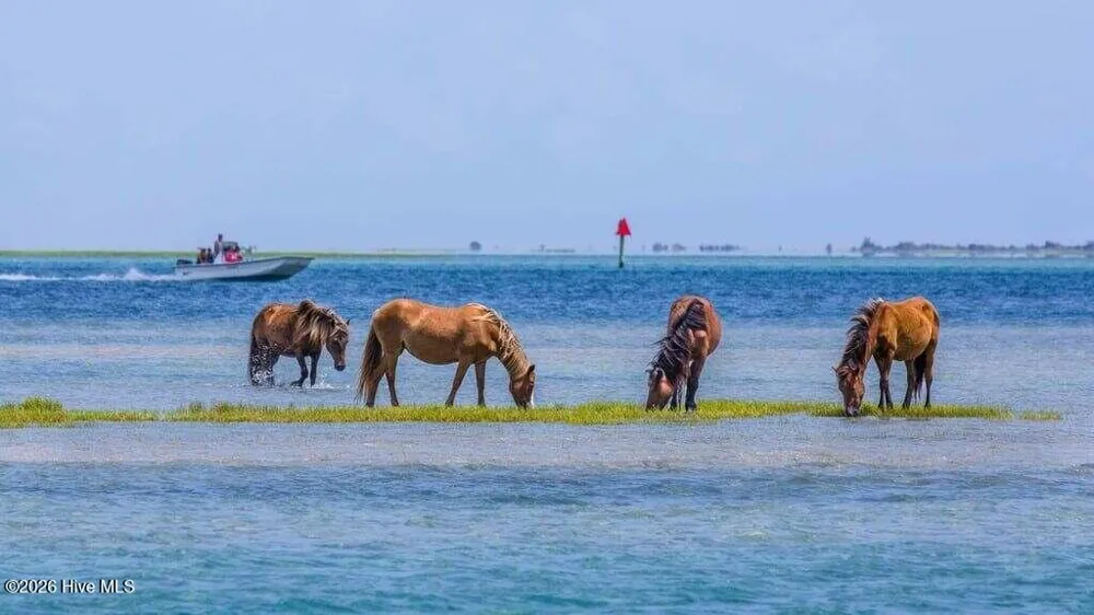 506 Island Road Harkers Island, NC 28531