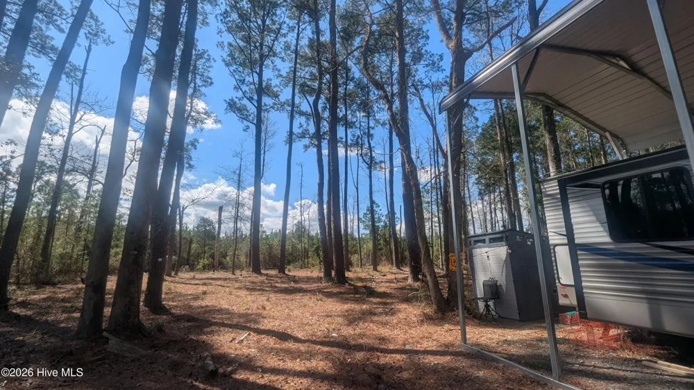 1540 Upper Neck Road Bayboro, NC 28515