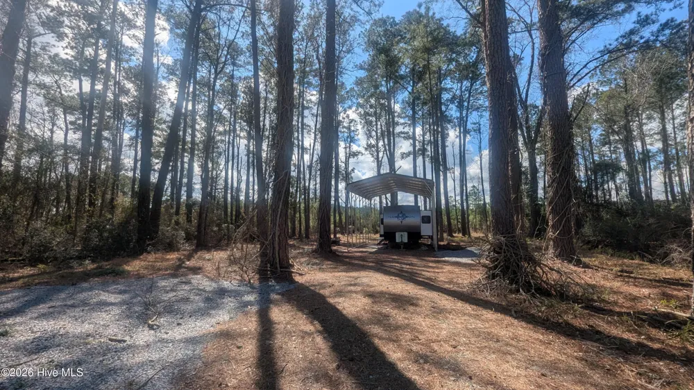 1540 Upper Neck Road Bayboro, NC 28515