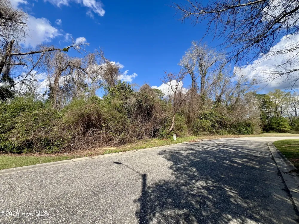 615 Pecan Lane Whiteville, NC 28472