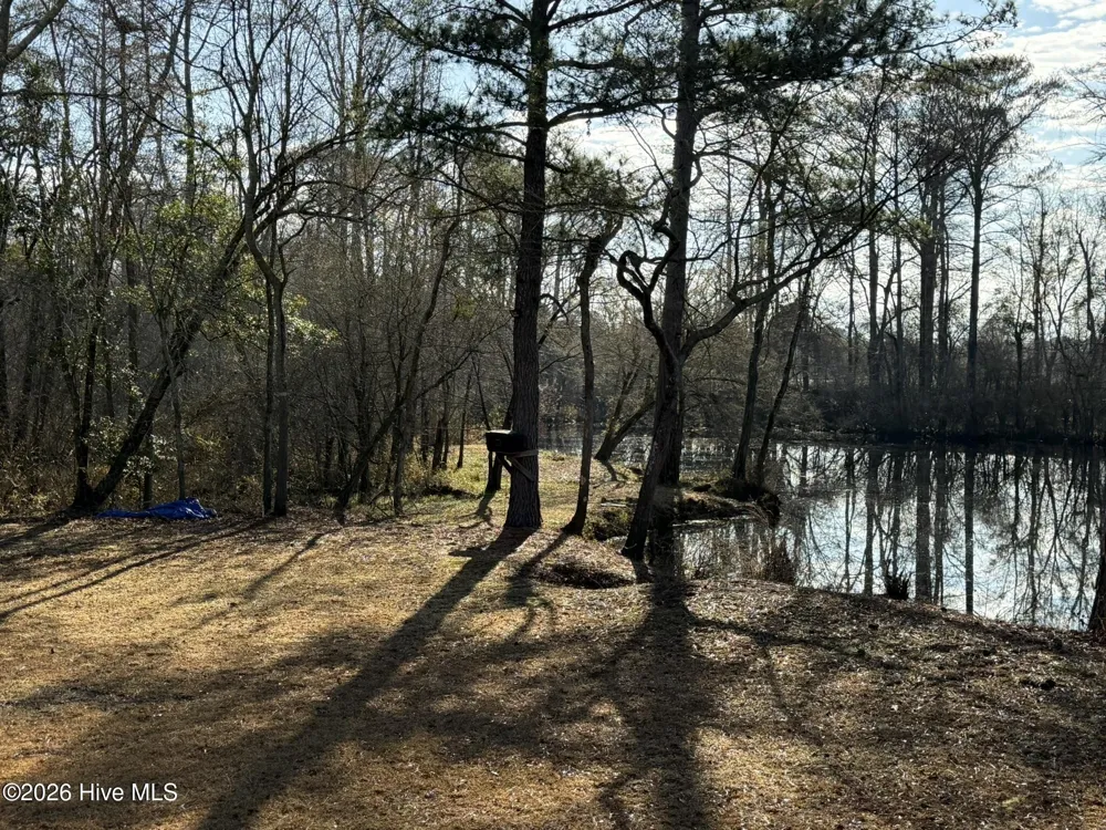 103 Raccoon Washington, NC 27889