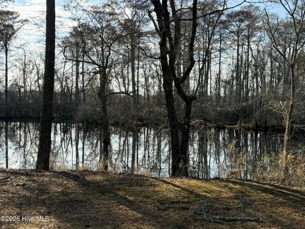 103 Raccoon Washington, NC 27889