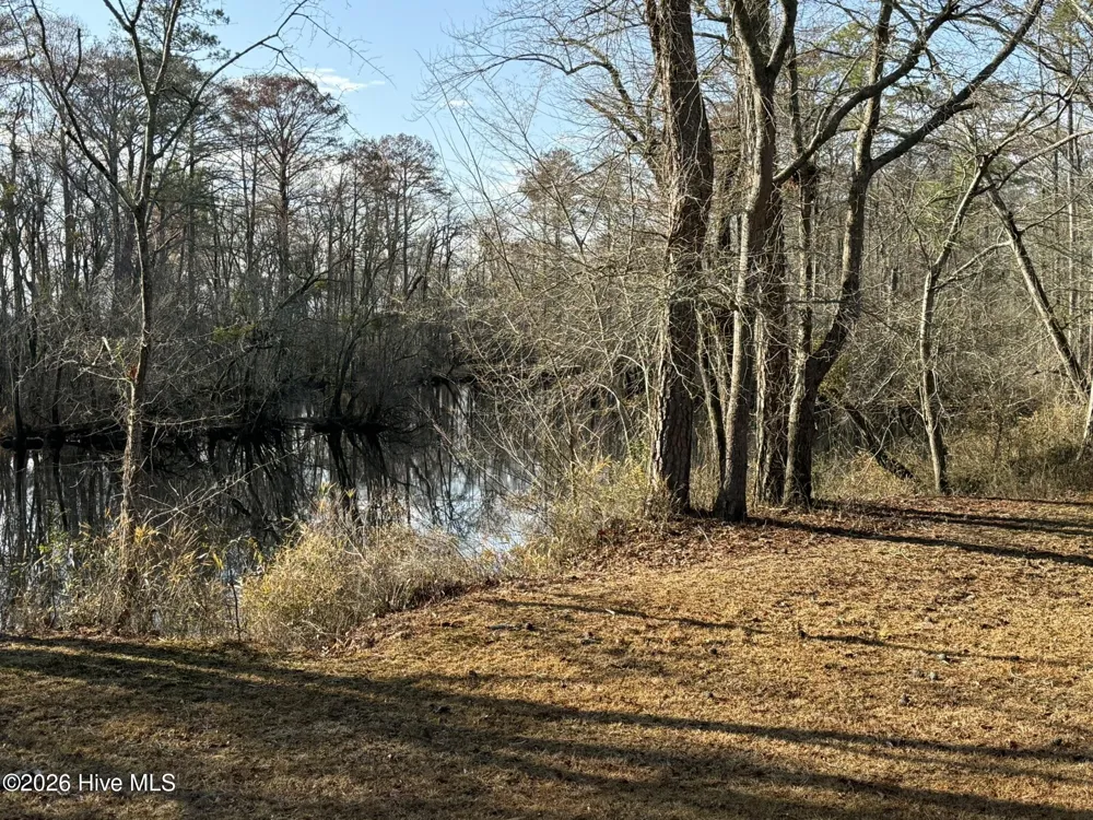 103 Raccoon Washington, NC 27889
