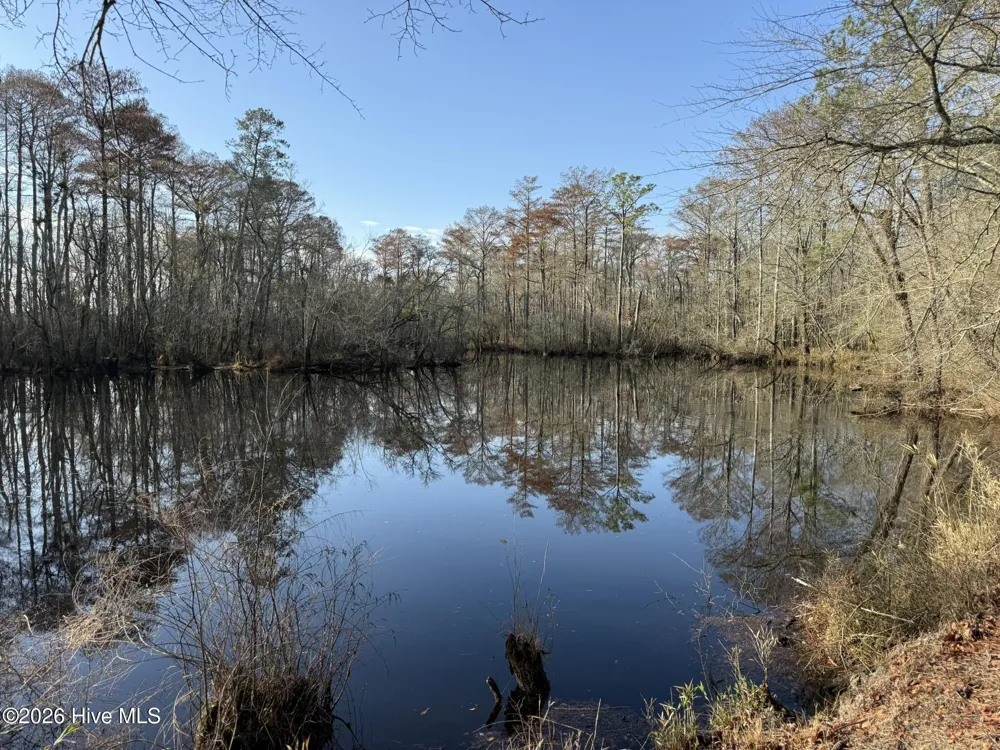 103 Raccoon Washington, NC 27889
