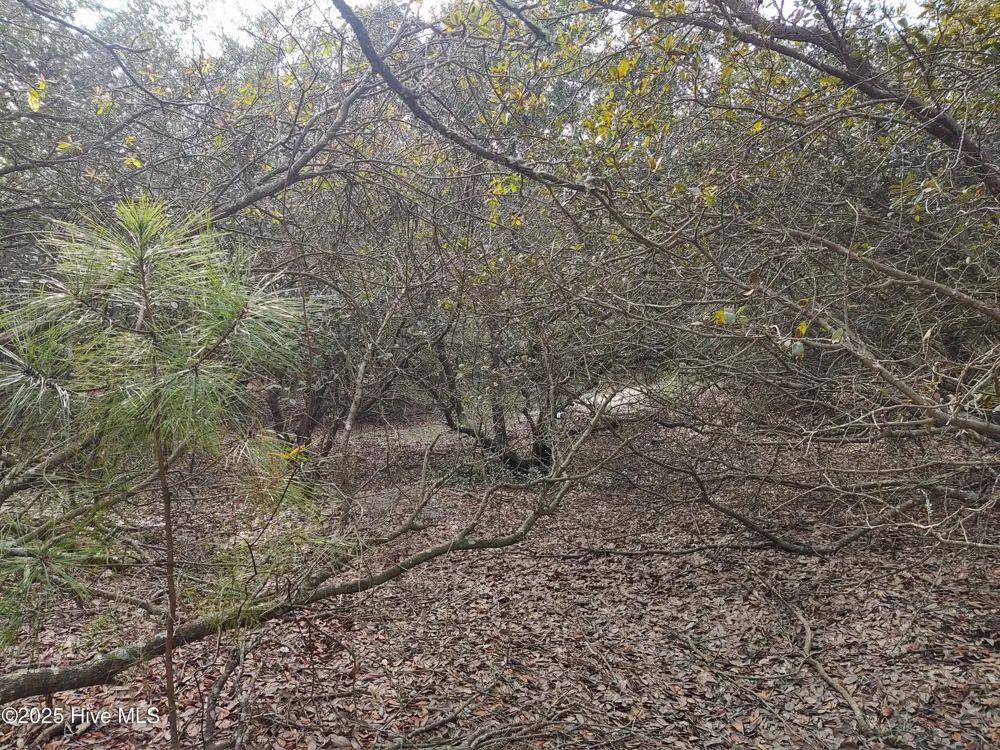 2356 Sandpiper Road Corolla, NC 27927