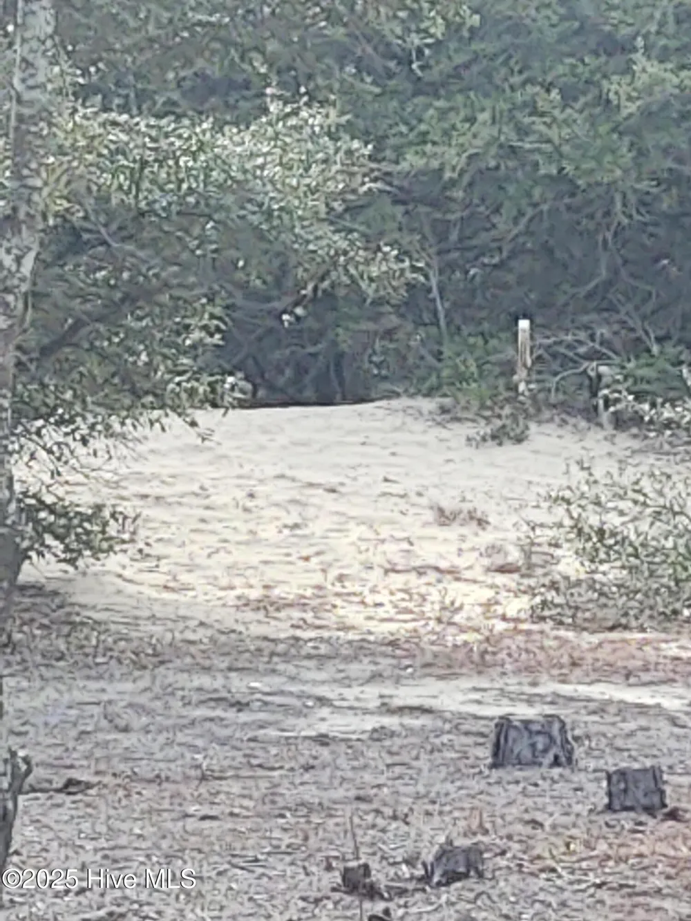 2356 Sandpiper Road Corolla, NC 27927