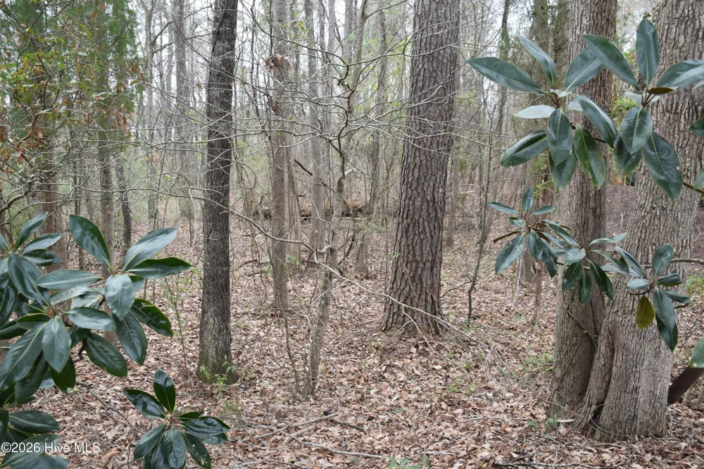 18 Bridgewater Drive S Bath, NC 27808