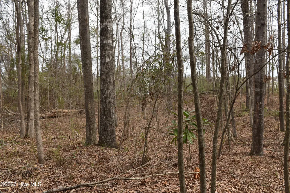 18 Bridgewater Drive S Bath, NC 27808