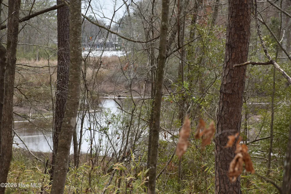 18 Bridgewater Drive S Bath, NC 27808