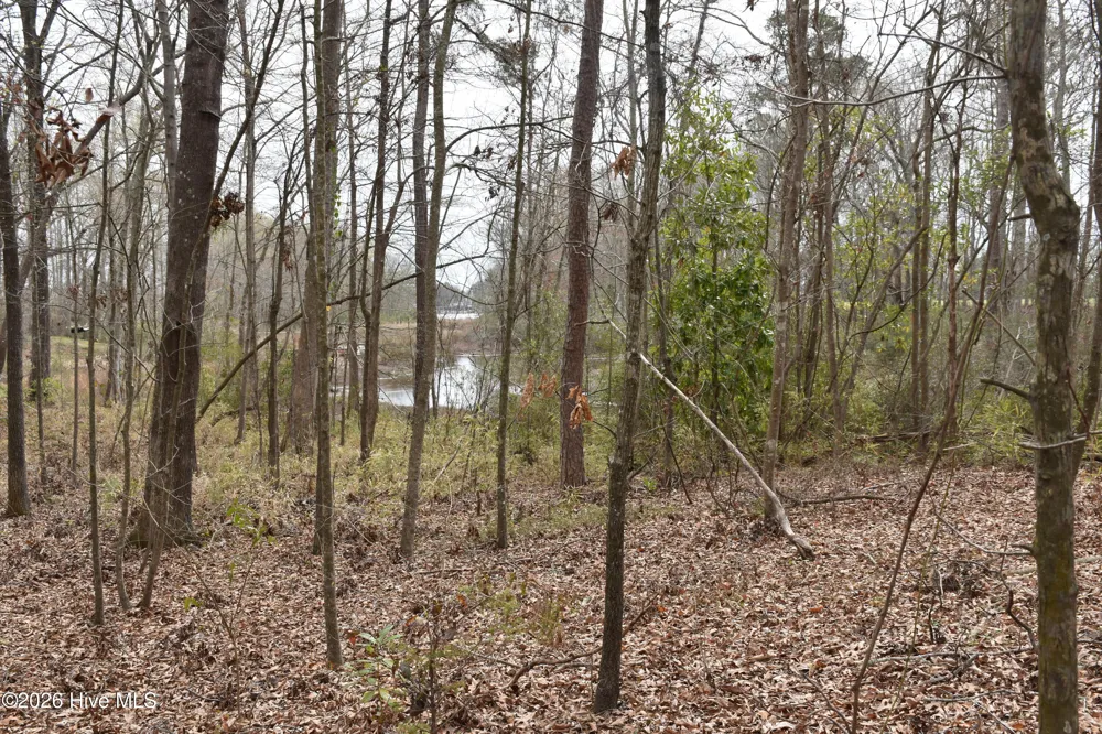 18 Bridgewater Drive S Bath, NC 27808
