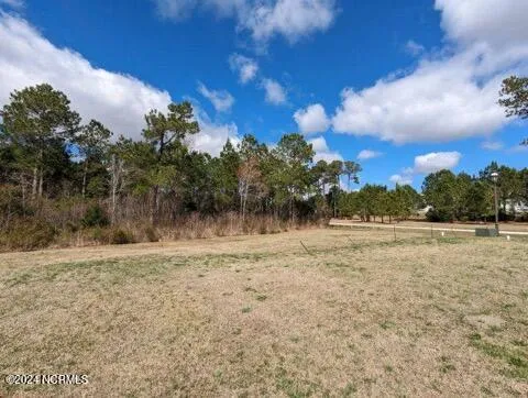 248 Kings Creek Crossing Holly Ridge, NC 28445