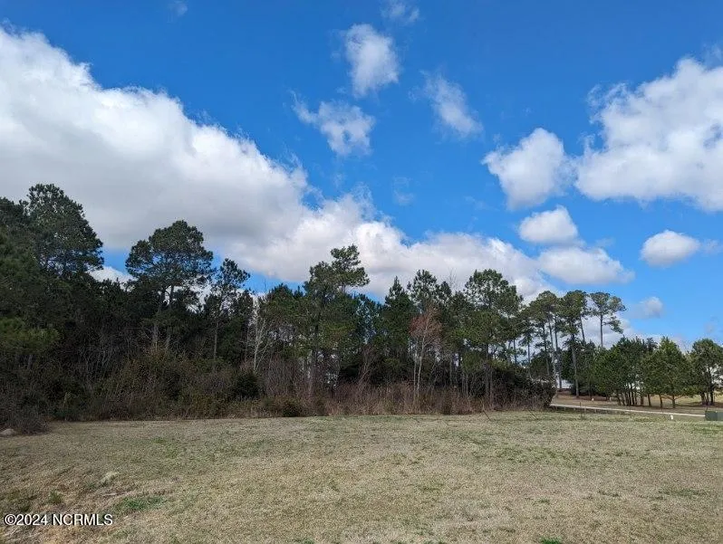 248 Kings Creek Crossing Holly Ridge, NC 28445