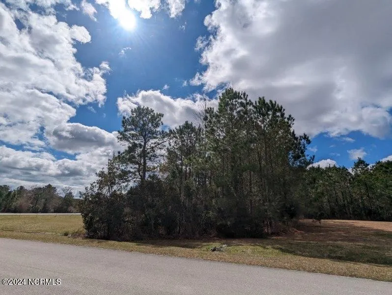 248 Kings Creek Crossing Holly Ridge, NC 28445