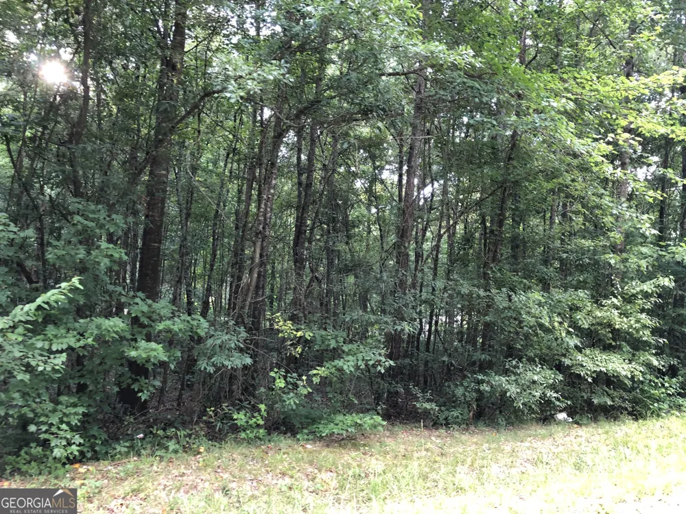 0 E Atlanta RD Stockbridge, GA 30281