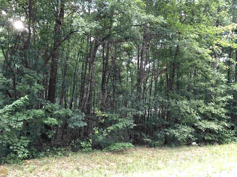 0 East Atlanta RD Stockbridge, GA 30281