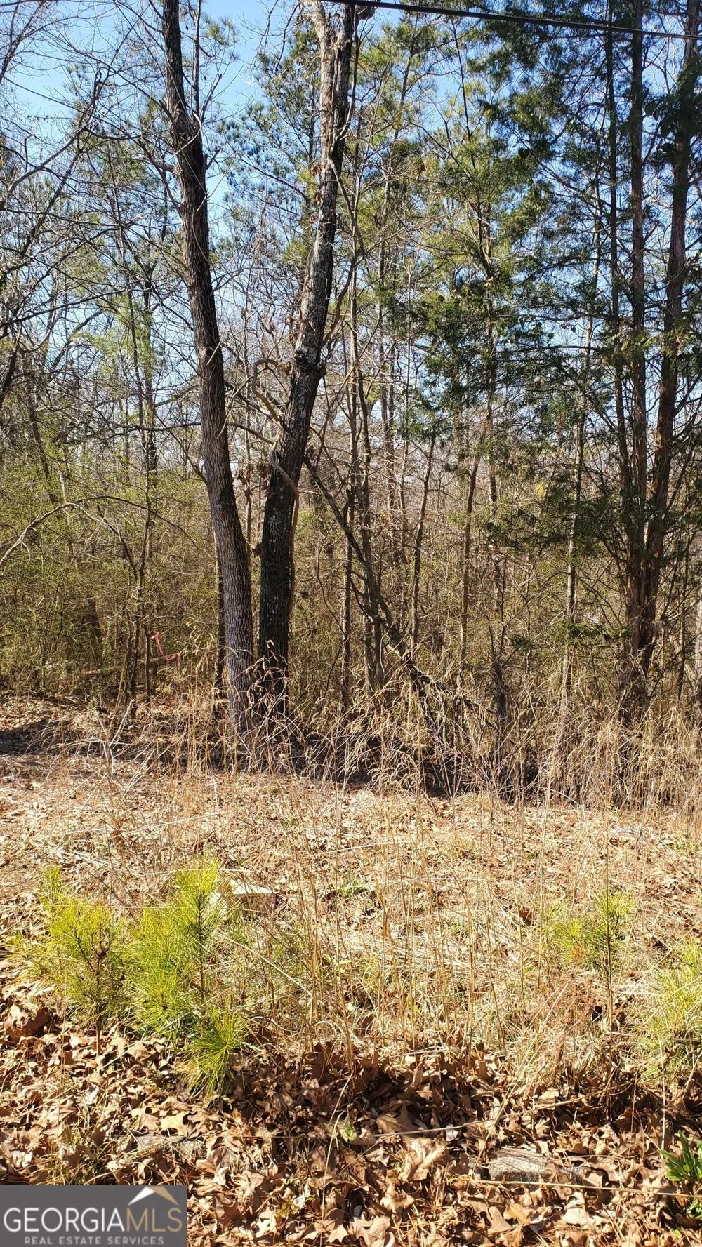 5090 Maltdie CT Sugar Hill, GA 30518
