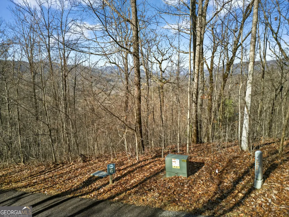 LOT 6 & 7 Skyview DR Hayesville, NC 28904