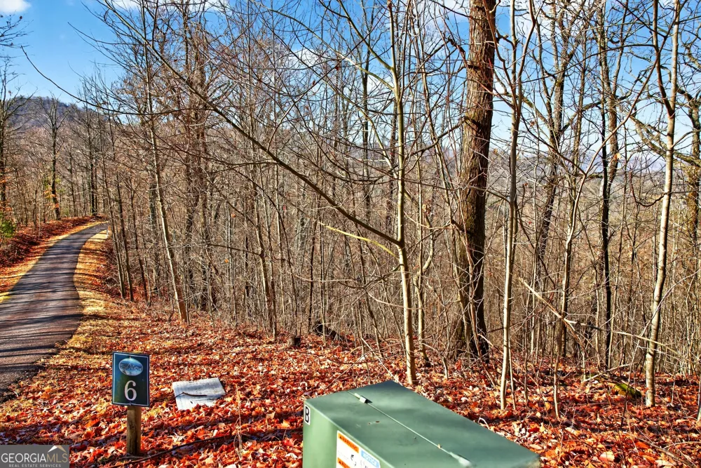 LOT 6 & 7 Skyview DR Hayesville, NC 28904