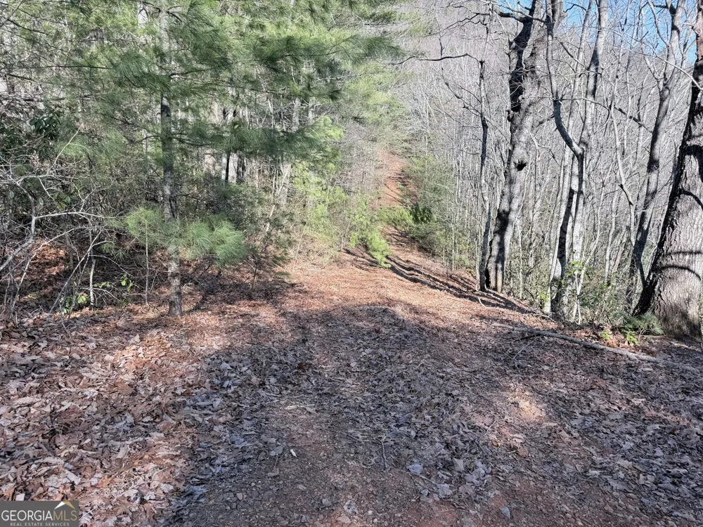 0 Rabun Bluffs DR Lakemont, GA 30552