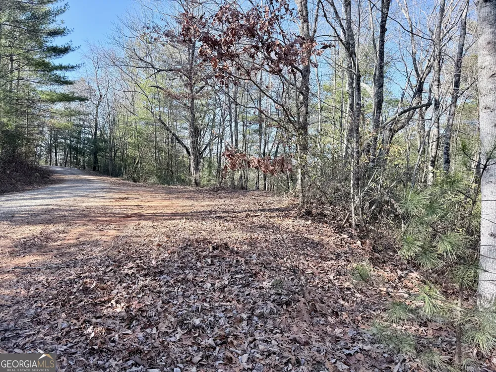 0 Rabun Bluffs DR Lakemont, GA 30552