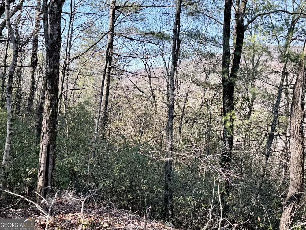 0 Rabun Bluffs DR Lakemont, GA 30552