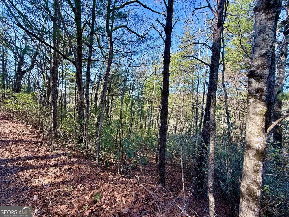 0 Rabun Bluffs DR Lakemont, GA 30552
