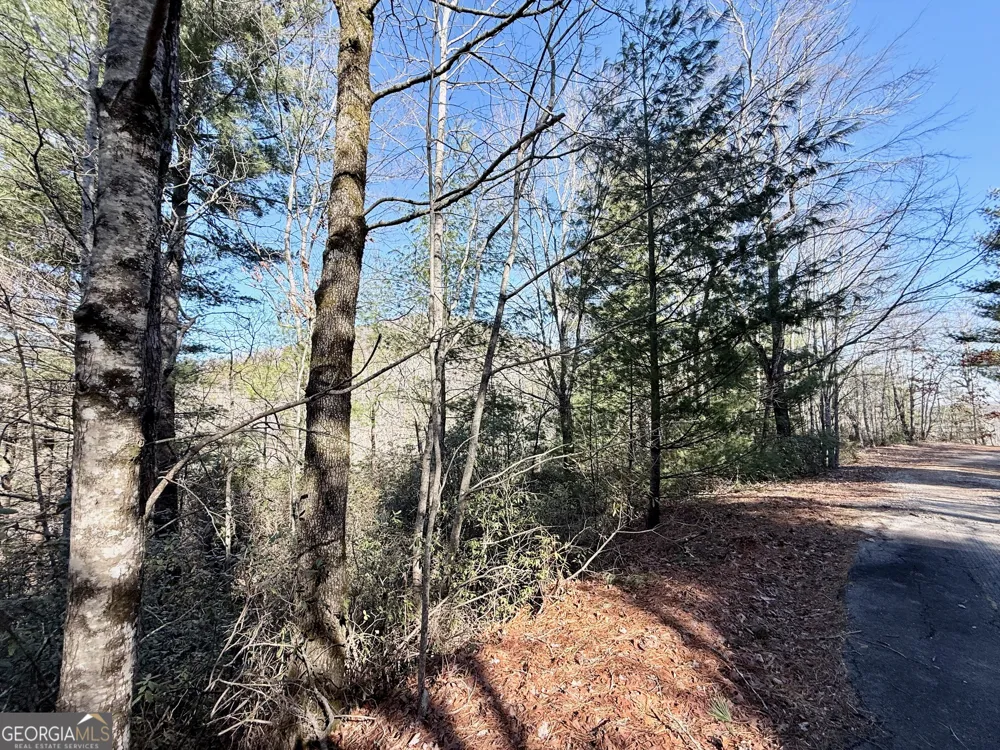 0 Rabun Bluffs DR Lakemont, GA 30552