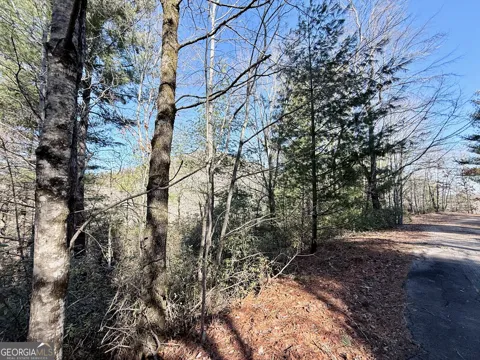 0 Rabun Bluffs DR