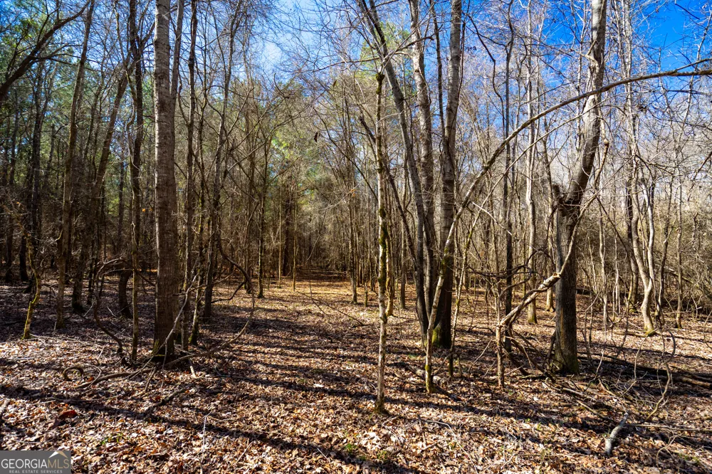 0 Keith RD Hogansville, GA 30230