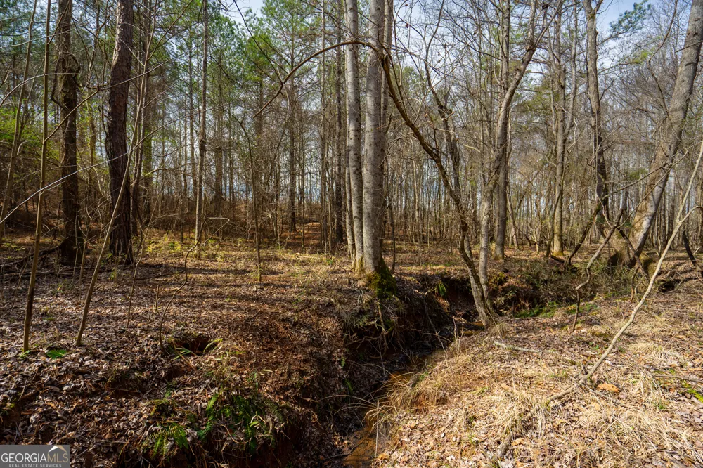 0 Keith RD Hogansville, GA 30230