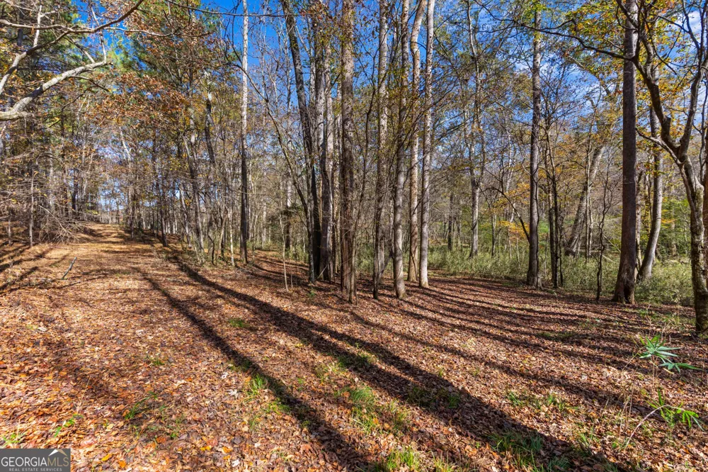 1390 Walker RD Madison, GA 30650