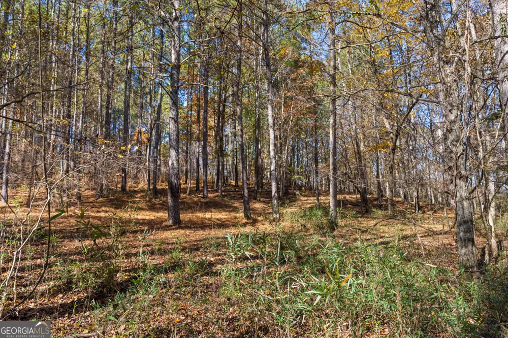 1390 Walker RD Madison, GA 30650