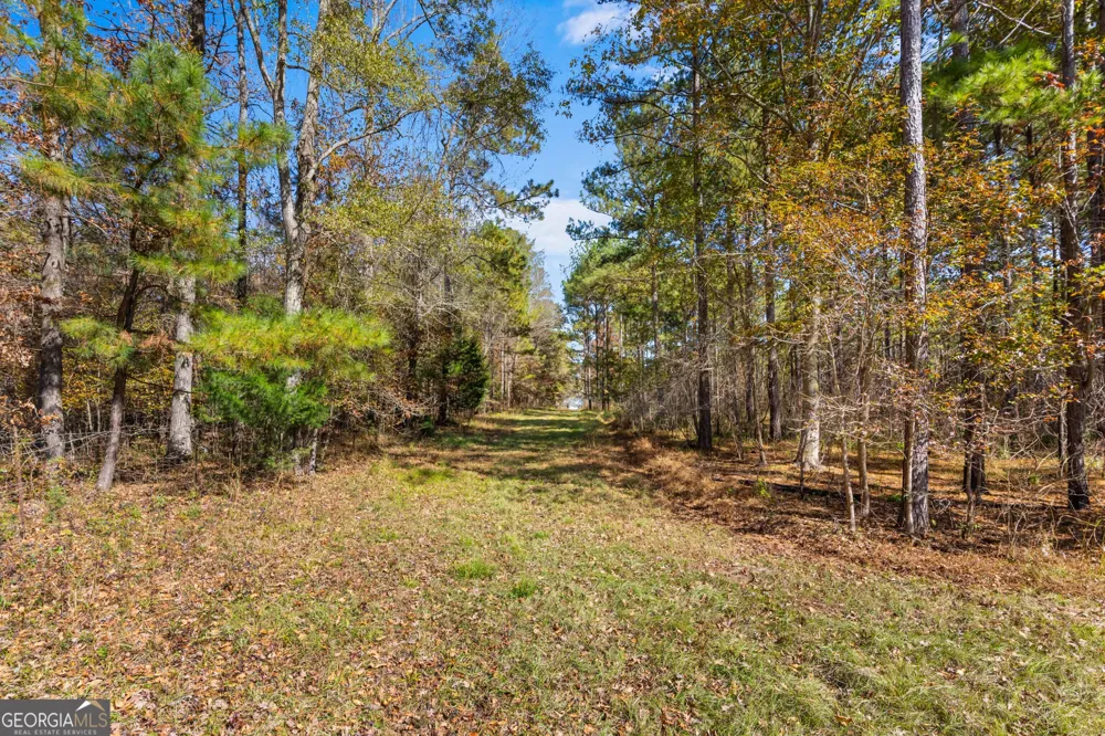 1390 Walker RD Madison, GA 30650