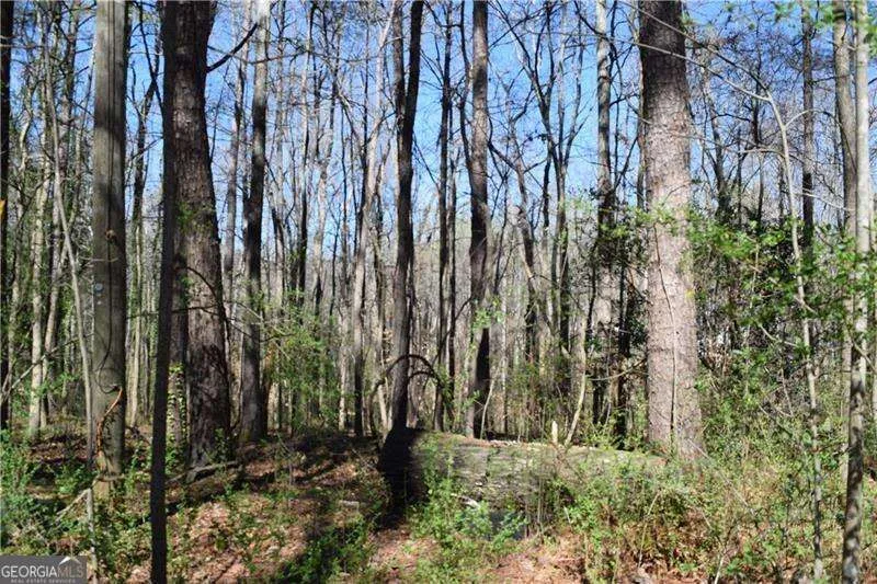 5320 Beth DR Austell, GA 30106
