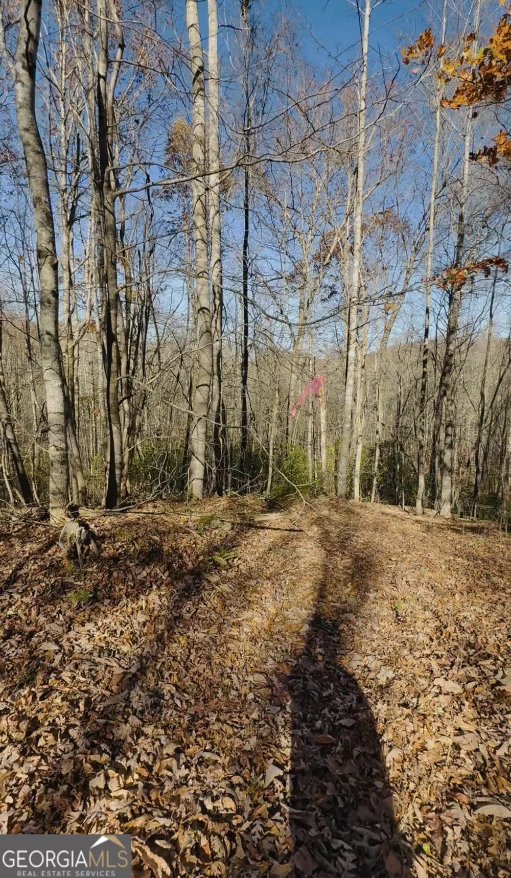 0 Gove Sautee Nacoochee, GA 30571