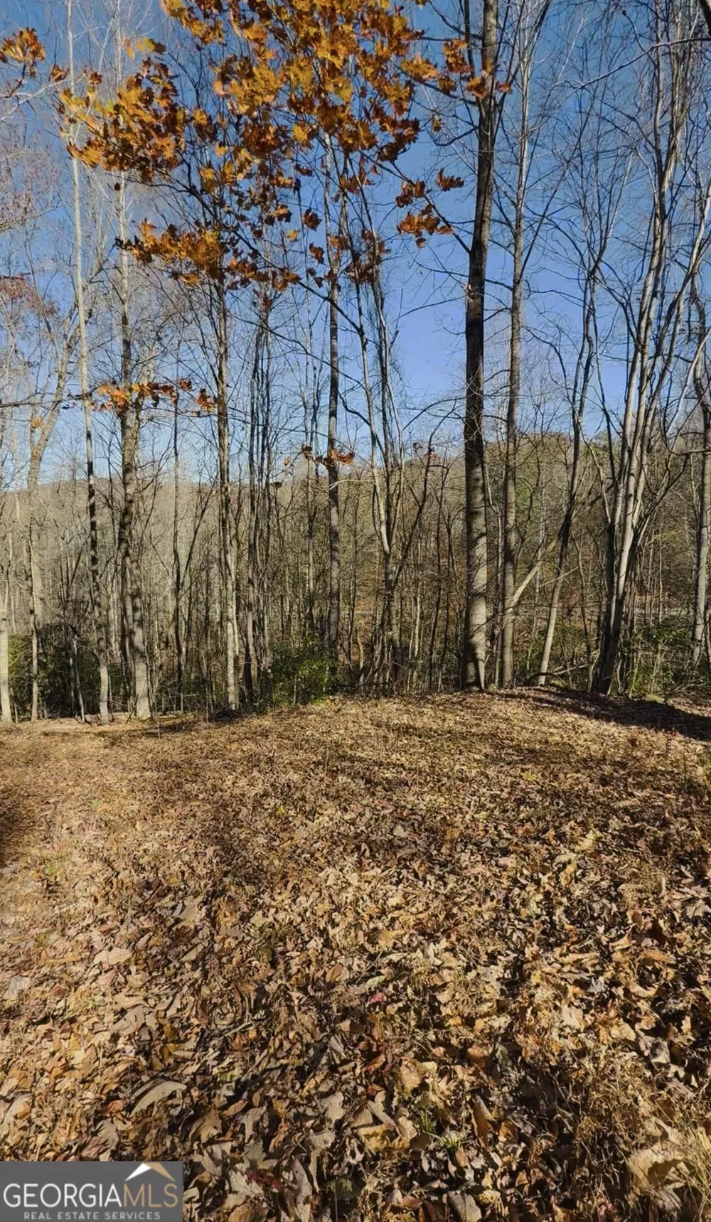 0 Gove Sautee Nacoochee, GA 30571