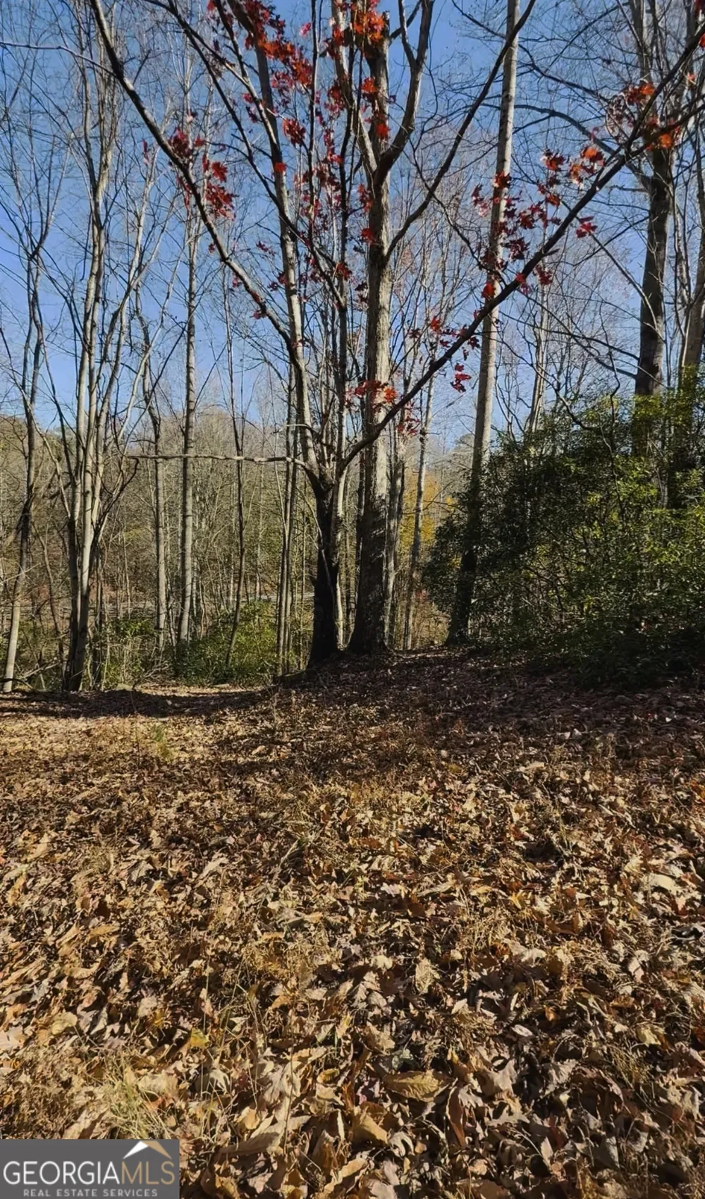 0 Gove Sautee Nacoochee, GA 30571