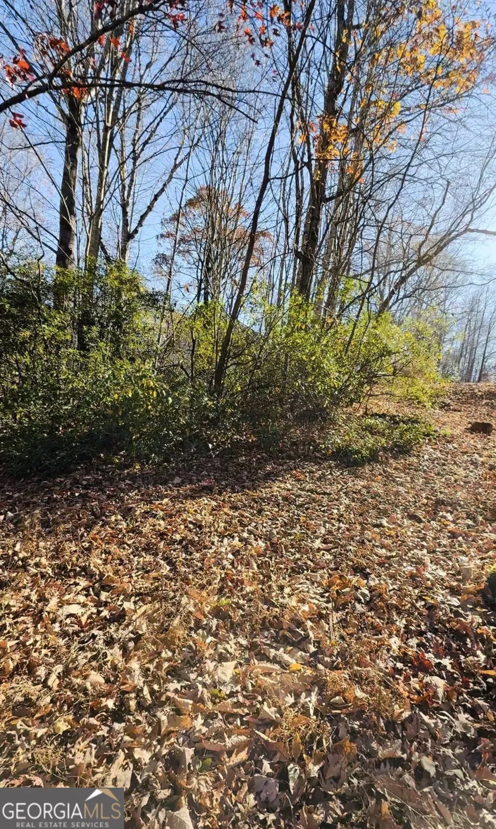 0 Gove Sautee Nacoochee, GA 30571