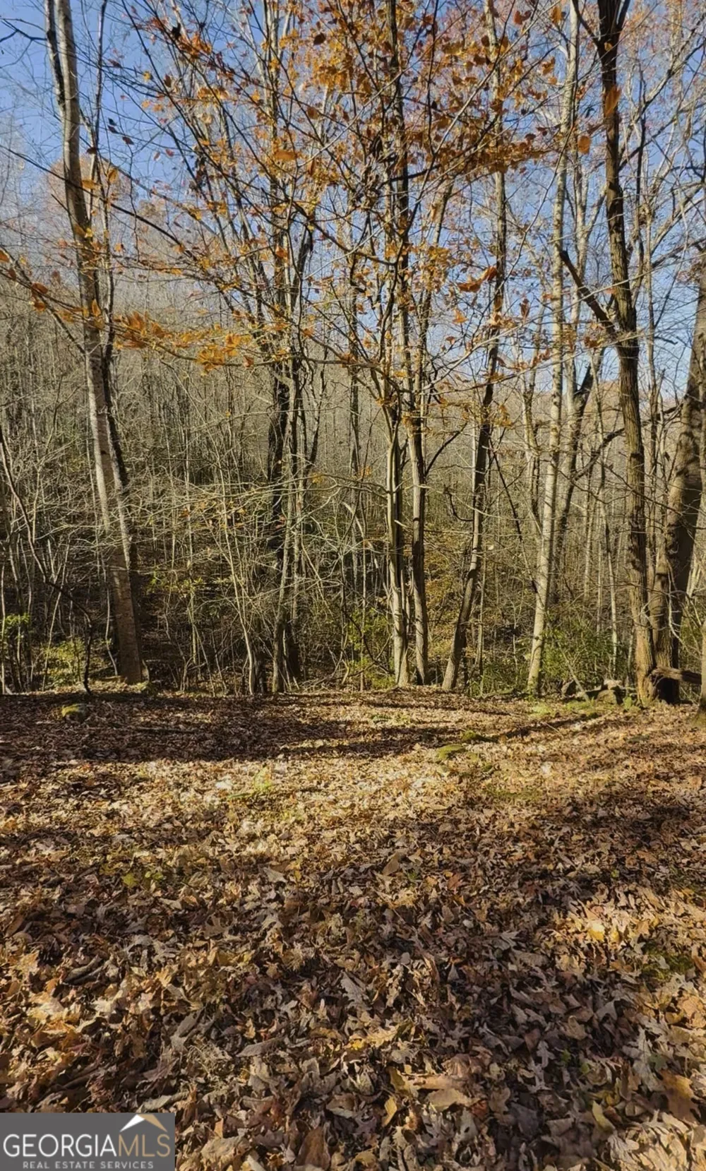 0 Gove Sautee Nacoochee, GA 30571