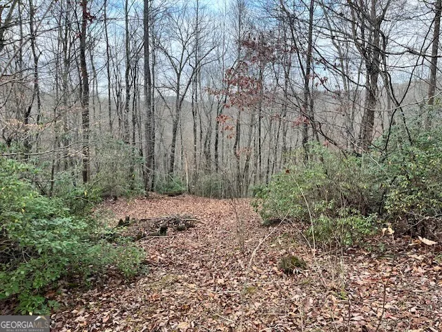 0 Gove Sautee Nacoochee, GA 30571
