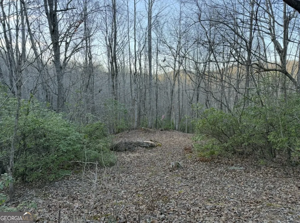0 Gove Sautee Nacoochee, GA 30571
