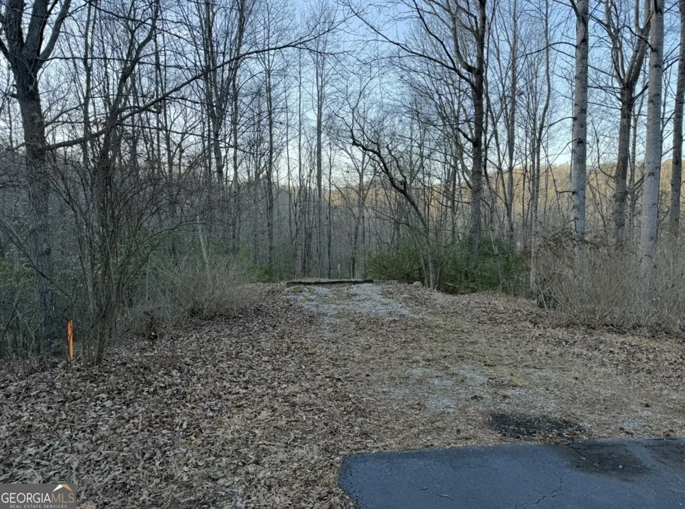 0 Gove Sautee Nacoochee, GA 30571